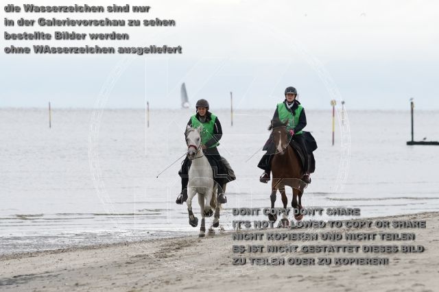 s_K3F04684.JPG